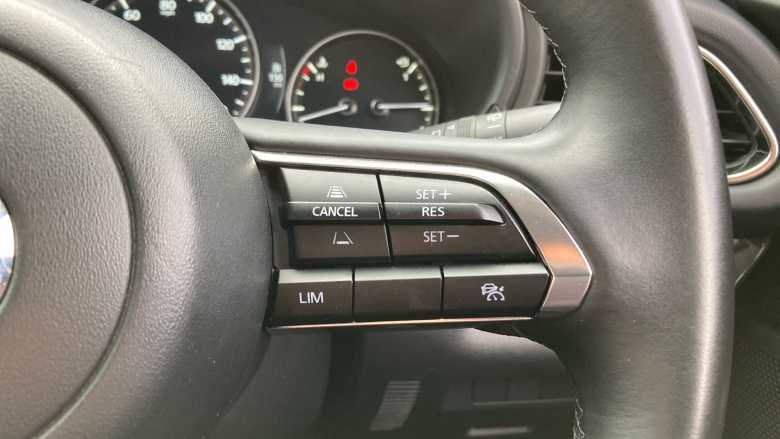 Mazda CX-30 2.5 e-Skyactiv G MHEV [140] Homura 5dr Petrol Hatchback